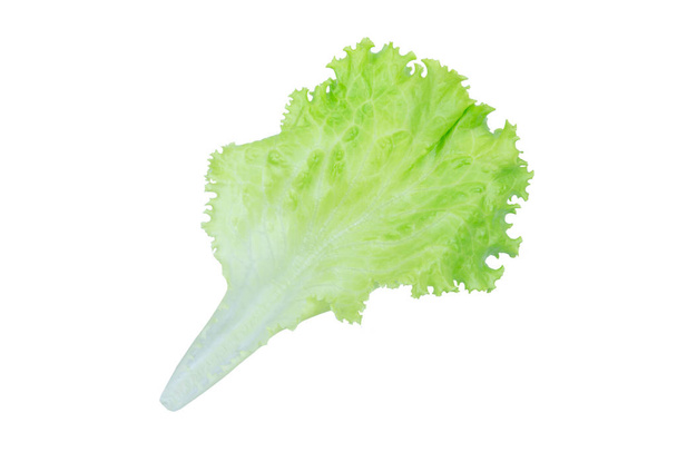 Салатный лист. Салат изолированы на белом фоне с обрезкой п
 - Фото, изображение