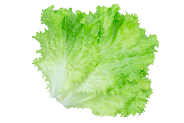 Салатный лист. Салат изолированы на белом фоне с обрезкой п
 - Фото, изображение