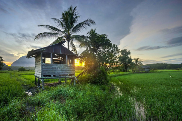 Coucher de soleil incroyable à la rizière dans une zone rurale de Malaisie
 - Photo, image