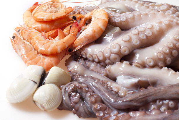 Shrimp, octopus and shellfish prepared for cooking - Φωτογραφία, εικόνα