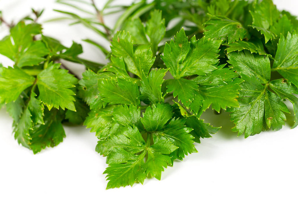celery,thyme and rosemary,free - Foto, Imagen