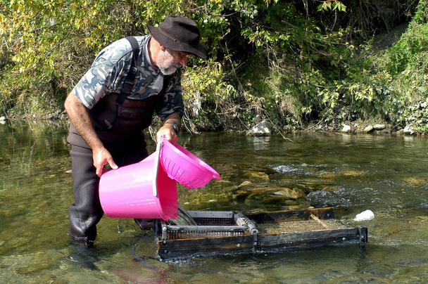 prospector panning for gold in rivers in France in the Gard region - Фото, изображение