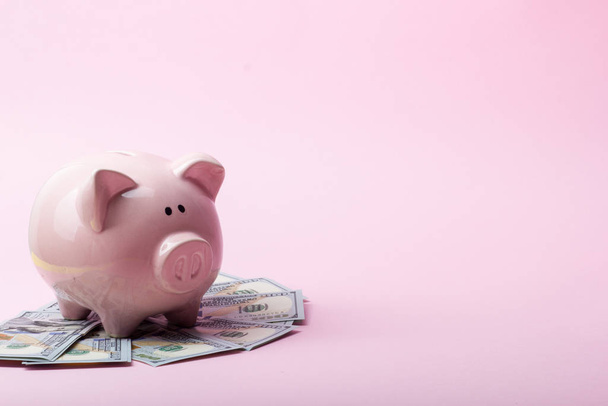 Piggy bank and dollar cash money. Business, finance, investment, saving and corruption concept. - Foto, Imagem