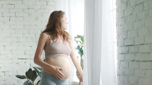 Pregnant belly woman standing in room. Expecting mother looking window at home - 映像、動画