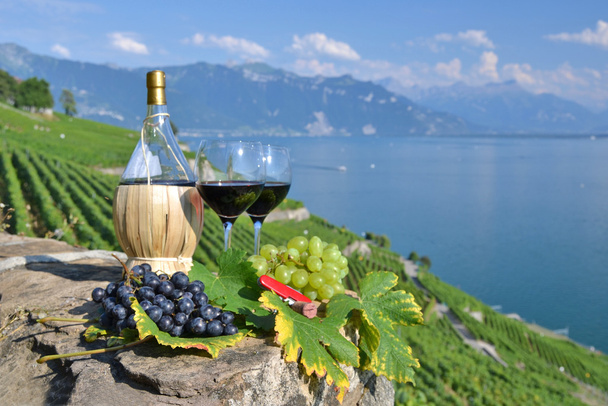 Красное вино и виноград. - Фото, изображение