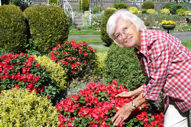 senior woman in garden with flowers - Zdjęcie, obraz