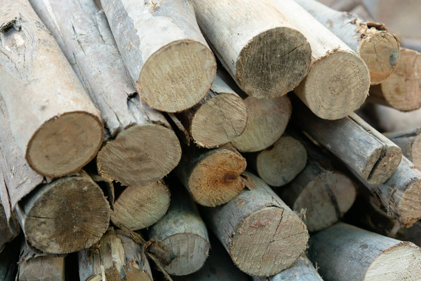 Wooden logs stack, tree stumps background - 写真・画像