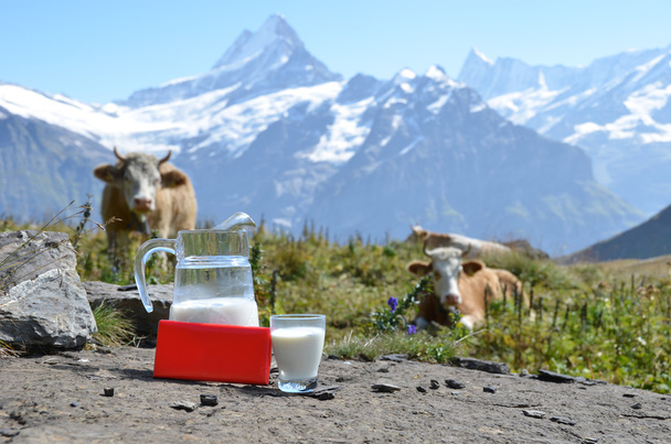 İsviçre çikolata ve Alpin çayır üzerinde süt kabı - Fotoğraf, Görsel