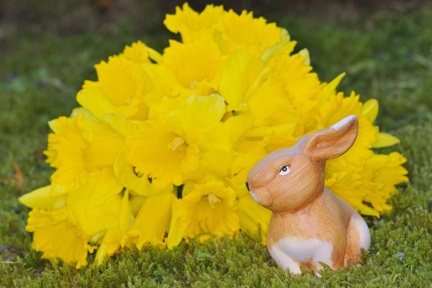 easter bunny with yellow flowers - Zdjęcie, obraz
