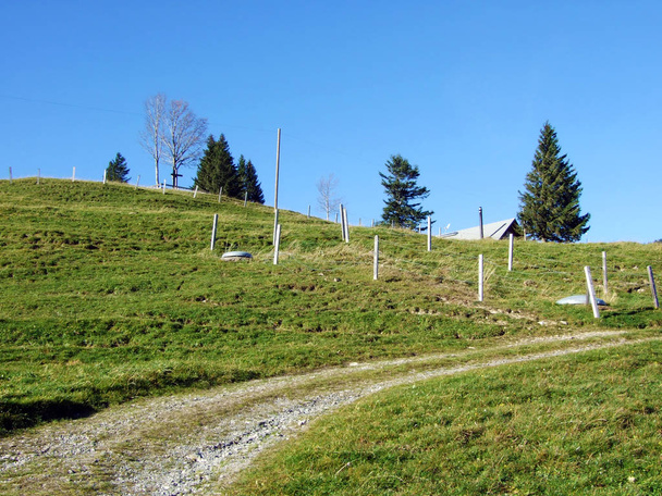 Sentiers pédestres et pédestres sur les flancs du massif montagneux de l'Alpstein et dans la vallée du Rhin (Rheintal), Oberriet SG - Canton de Saint-Gall, Suisse
 - Photo, image