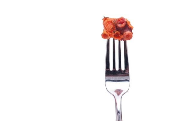 fork with red marinated octopus against white background - Φωτογραφία, εικόνα