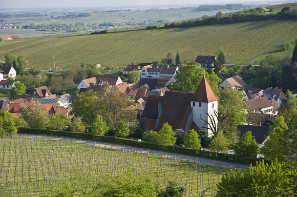 ortstotale with martinskirche and view of the rhine plain,leinsweiler,german also southern wine route,palatinate,rhineland-palatinate,germany,europe - Φωτογραφία, εικόνα