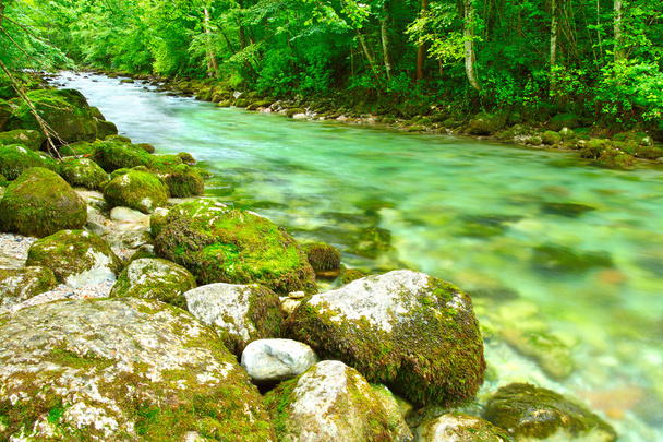 Río de montaña Konigsseer Ache en el parque nacional de Berchtesgaden, Baviera, Alemania
. - Foto, imagen