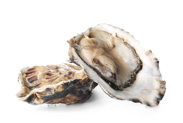 Tasty oysters on white background - Photo, Image