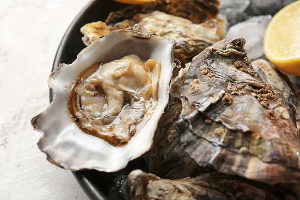 Pan met lekkere koude oesters op witte achtergrond, close-up - Foto, afbeelding