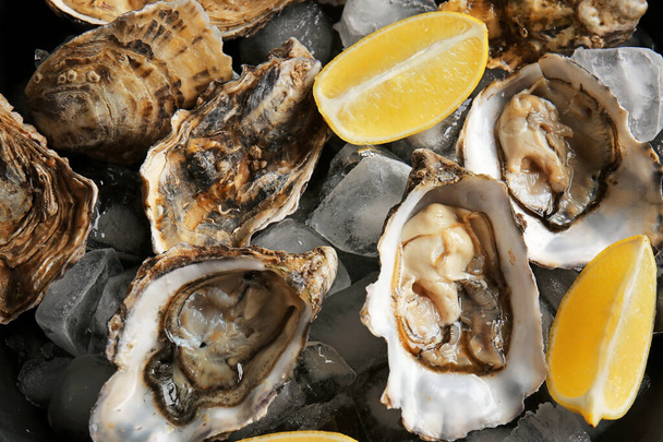 Tasty cold oysters with lemon, closeup - Foto, Imagem