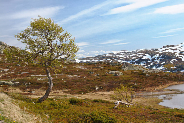landscapes view in Scandinavia in Northern Europe - Photo, image