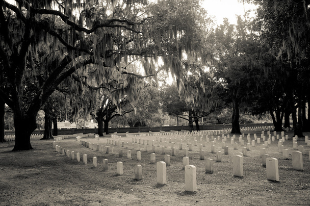nationale begraafplaats - Foto, afbeelding