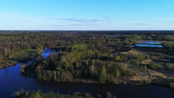 A beautiful sunny spring day in the endless forest and lakes under blue sky - Imágenes, Vídeo