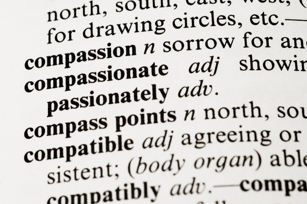 compassion - Photo, image