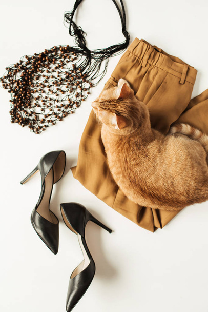 Flat lay fashion collage with women modern clothes, accessories, ginger cat on white background. Ginger pants, high-heels, string bag. Top view concept for blog, social media, magazine. - Photo, Image