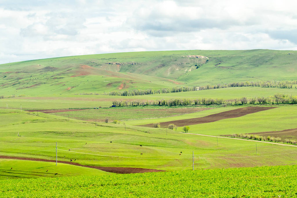 Paisaje campo verde colinas cielo con nubes
 - Foto, Imagen