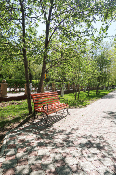 Wooden park bench spring landscape. - Fotografie, Obrázek