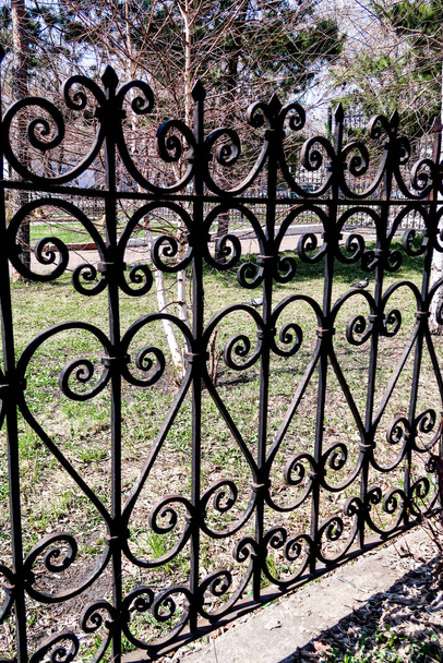 Металевий кований паркан, вид на відстань, літня природа
. - Фото, зображення