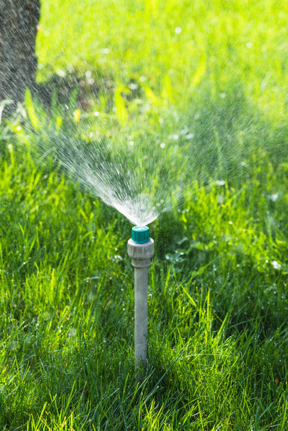 Bewässerungssystem, das das grüne Gras mit Bokeh-Hintergrund wässert. - Foto, Bild