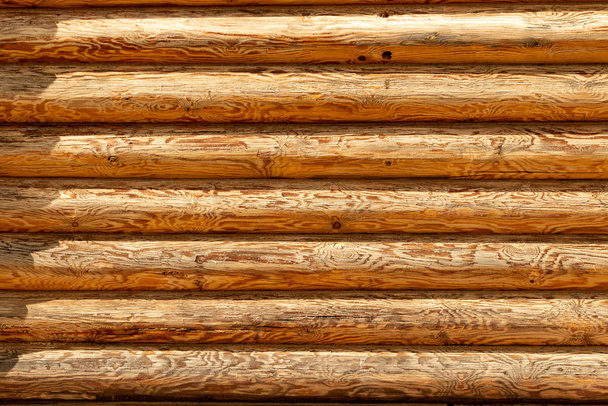 Háttérfal, kerek fa textúra. - Fotó, kép