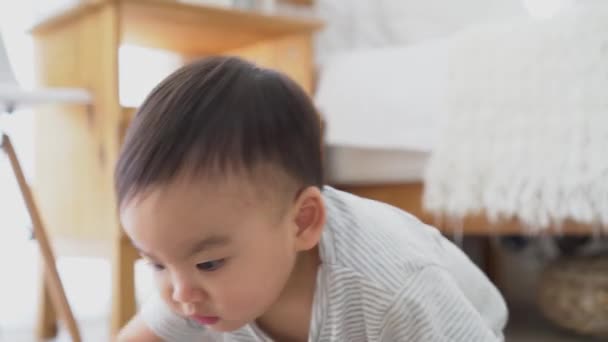 Baby boy crawling on the floor in living room indoors. Toddler Asian family at home - Video