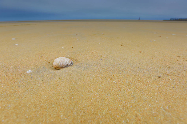 Plage ou sur la plage, l'eau, le sable, les dunes, le sable Camber
. - Photo, image