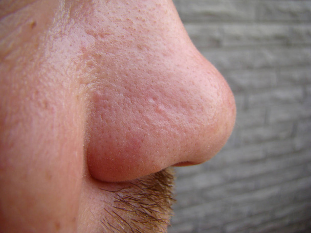 nose - Photo, Image