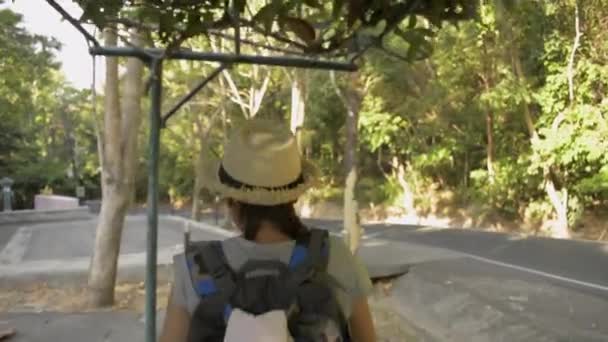 Tylny widok z tyłu azjatyckiego wędrowca kobieta chodzenie z plecakiem przez tropikalny las deszczowy. Kobieta w słomkowym kapeluszu idzie o świcie po małej drodze ze wzgórza.. - Materiał filmowy, wideo