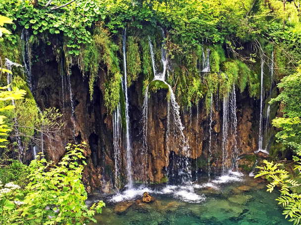 Krajina v národním parku Plitvice jezer nebo v Nacionalni parku Plitvická jezera, UNESCO přírodní dědictví-Plitvica, Chorvatsko - Fotografie, Obrázek