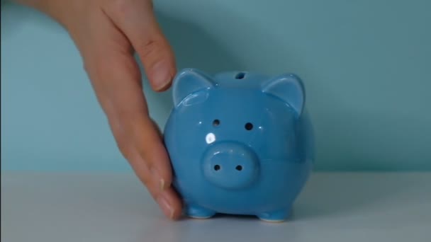 piggy bank business concept. A hand is putting a coin in a piggy bank on a blue background. saving money is an investment for lifestyle the future. Banking investment. - Video