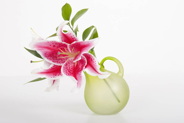 花瓶の花緑:白い背景の写真. - 写真・画像