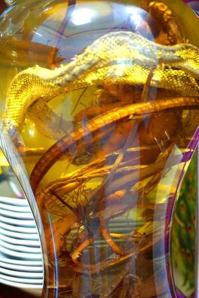  Φιδοκρασί μπουκάλι ασιατικό παραδοσιακό κρασί. Αλκοολούχο κρασί ή φίδια του ουίσκι μέσα, παραδοσιακή ιατρική. Μπουκάλι αλκοόλ που περιέχει ένα επικίνδυνο λικέρ φιδιού Cobra από την Ασία. βοήθεια θεραπεία - Φωτογραφία, εικόνα
