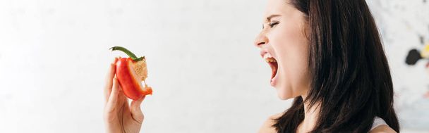 Panoramic shot of young woman grimacing while holding piece of bell pepper in kitchen - Photo, Image