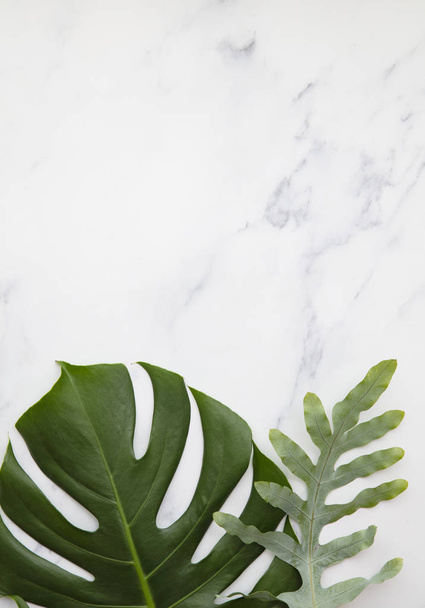 Topical jungle leaves on a modern marble background - Фото, зображення