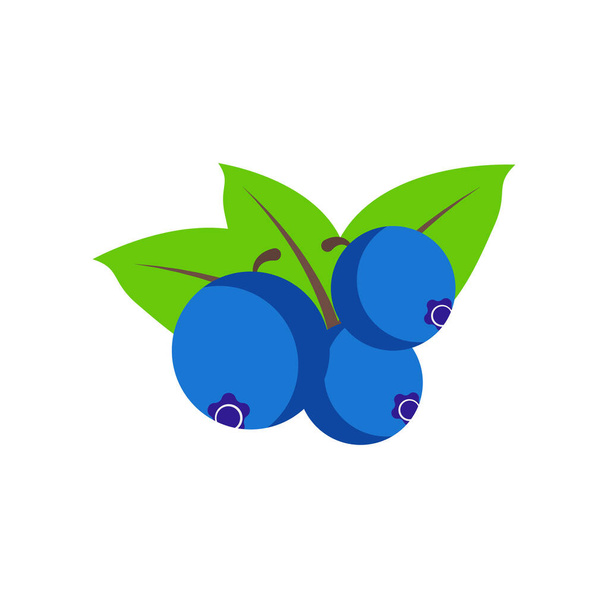 Blueberry ikon vektor jel és szimbólum elszigetelt fehér háttérb - Vektor, kép