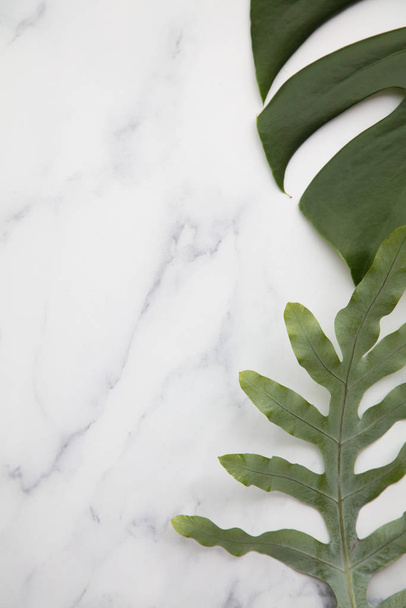 Topical jungle leaves on a modern marble background - Foto, immagini