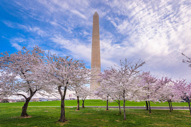 Вашингтон, округ Колумбия, США весной
 - Фото, изображение