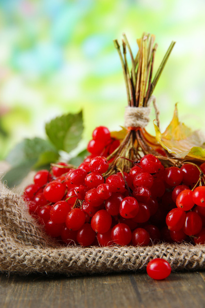 Red berries of viburnum on sackcloth napkin, on bright background - Fotografie, Obrázek