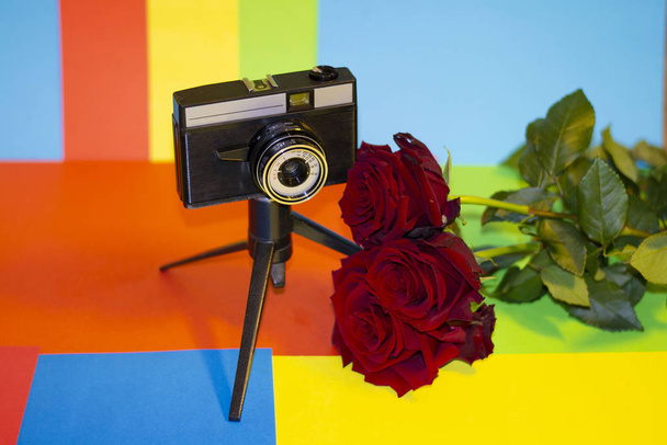 Tre fiori e fotocamera treppiede su sfondo multicolore
 - Foto, immagini