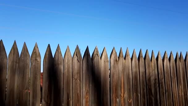 Φράχτης από αιχμηρό ξύλινο πάσσαλο και μπλε καθαρό ουρανό - Πλάνα, βίντεο