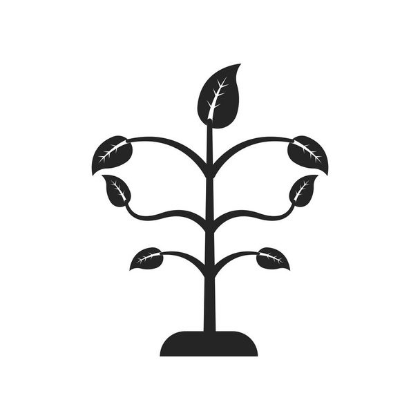 Árbol icono de crecimiento signo vectorial y símbolo aislado en respaldo blanco
 - Vector, imagen