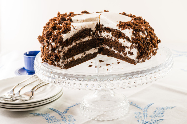 Chocolate crumb cake with white icing - Foto, afbeelding