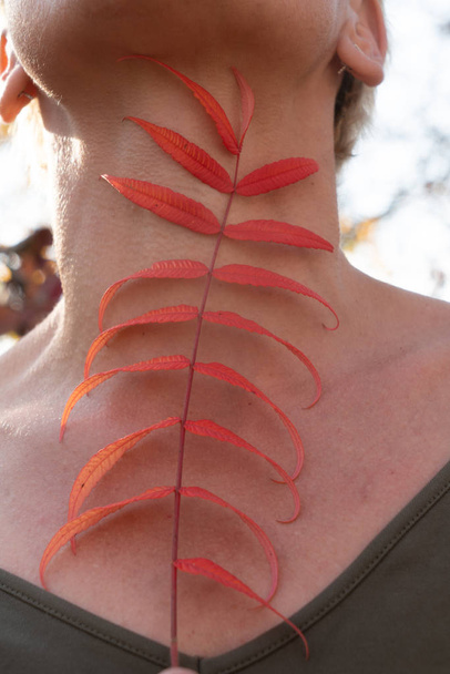 Red leaves of a plant against the background of a woman's body s - Photo, Image