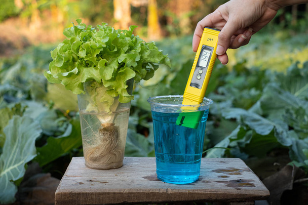 Measure liquid fertilizer in a cup with digital PH meter neutral - Photo, Image